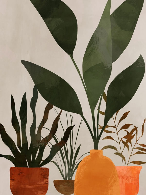 HOUSEPLANTS BY TAS