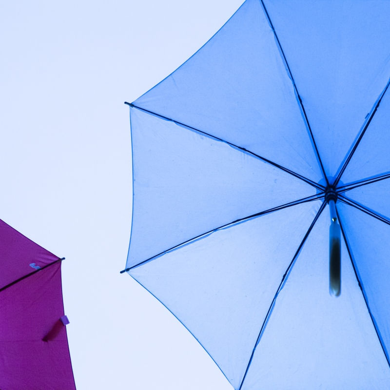 O GUARDA CHUVA AZUL I