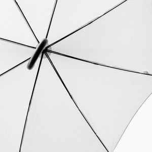 O GUARDA CHUVA MINIMALISTA PB