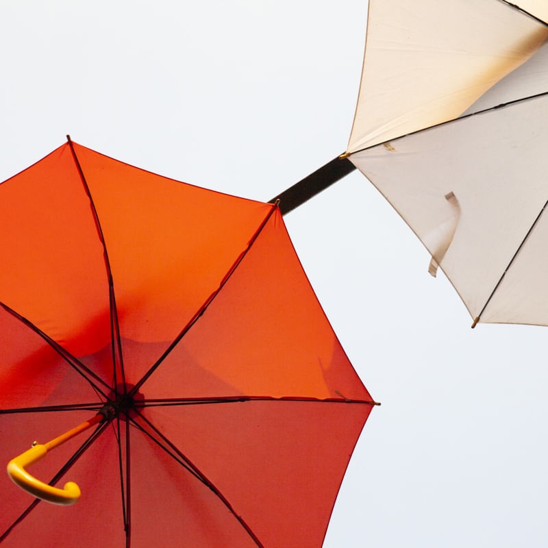 O GUARDA CHUVA LARANJA I
