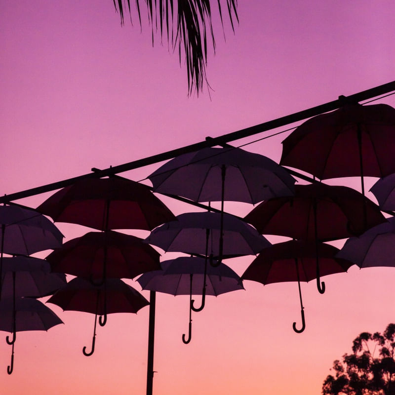 AS SILHUETAS DOS GUARDA CHUVAS E O CÉU PINK
