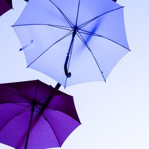 OS GUARDA CHUVAS AZUL E ROXO
