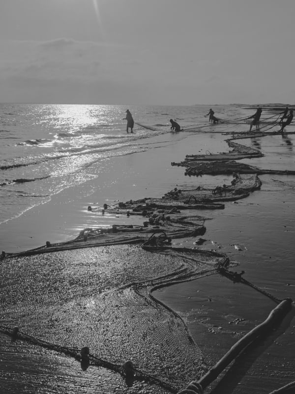 PESCADORES DE TUTÓIA