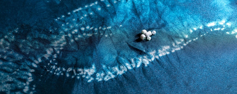 PINTURA EM TECIDO AZUL COM DETALHE