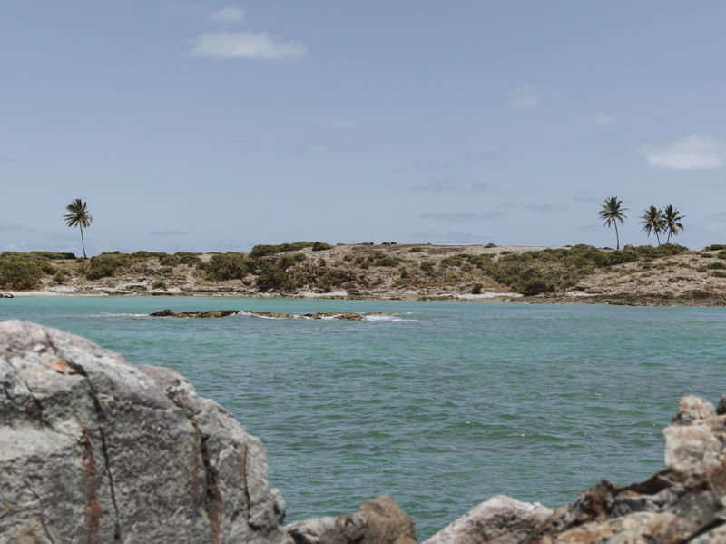 AS PEDRAS DE SANTO ALEIXO