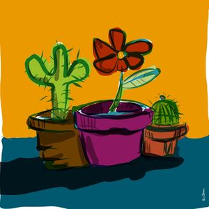 FLORES ENTRE CACTOS