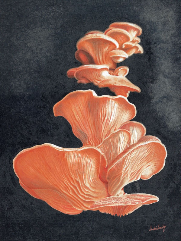 MUSHROONS