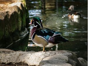 PATOS 13