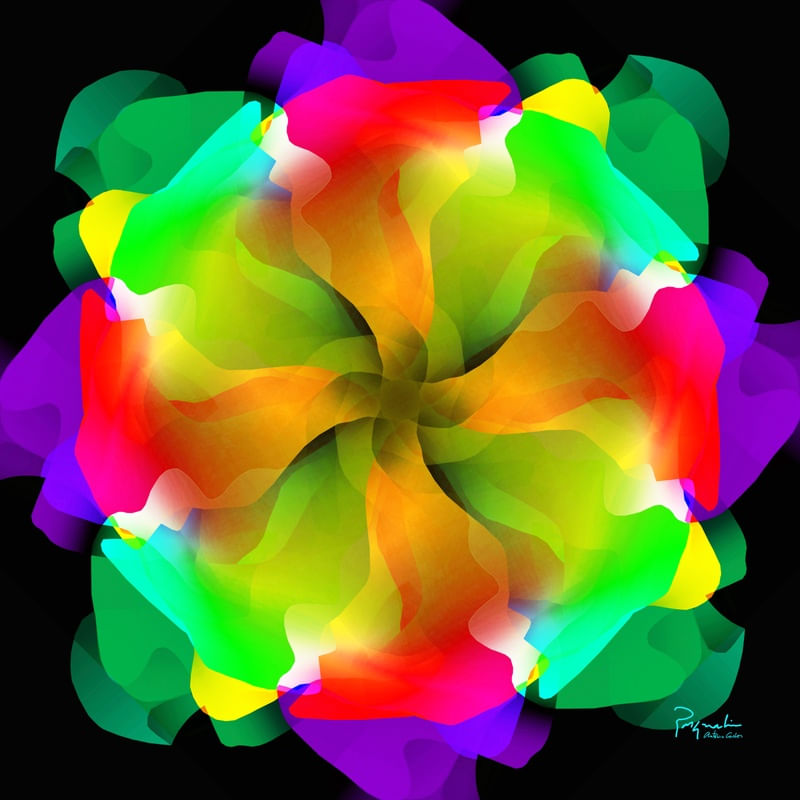 UNKNOWN FLOWER 22