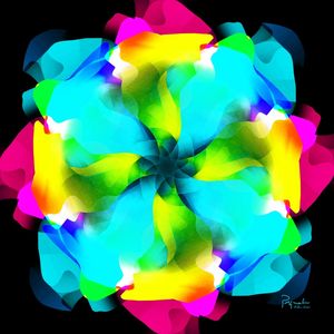 UNKNOWN FLOWER 24