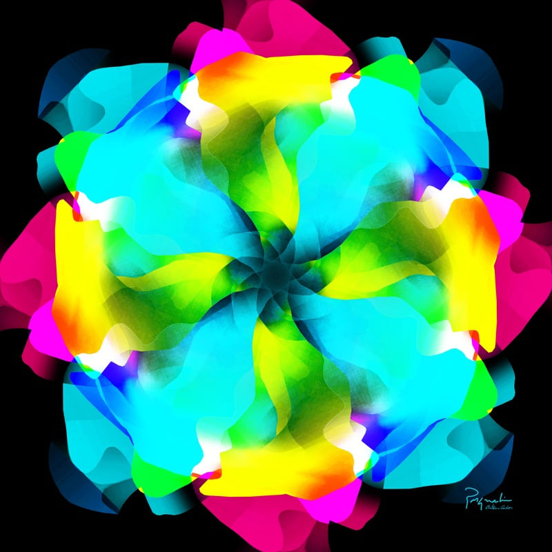 UNKNOWN FLOWER 24