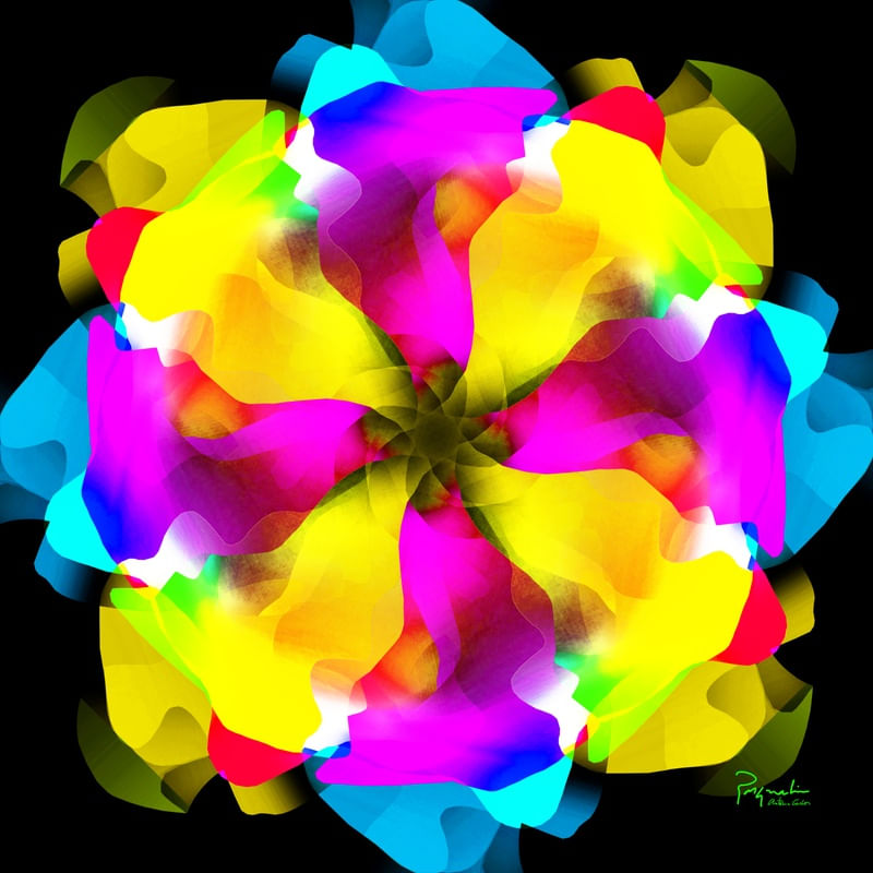 UNKNOWN FLOWER 25