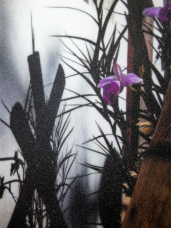 FLOR E SOMBRA COM EFEITO GRANULADO