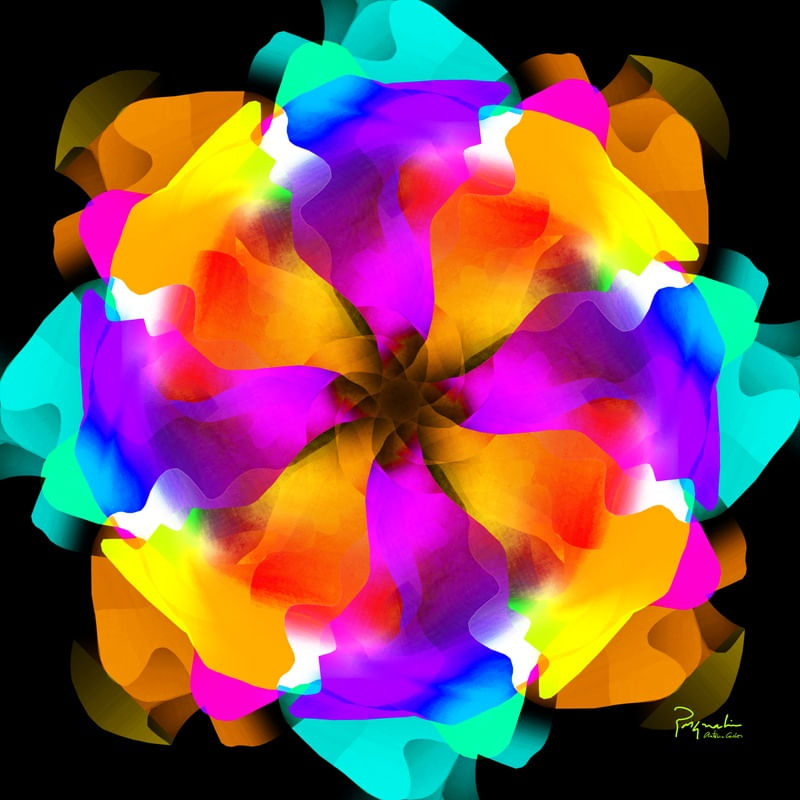 UNKNOWN FLOWER 26