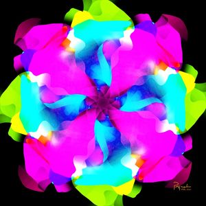 UNKNOWN FLOWER 27