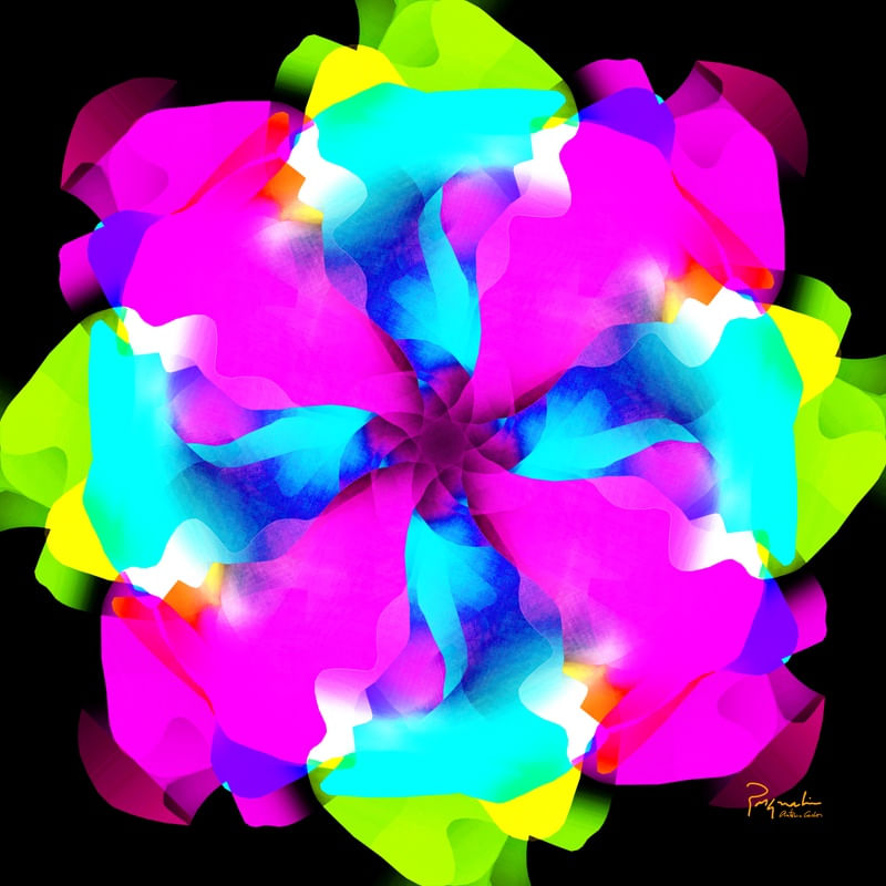 UNKNOWN FLOWER 27