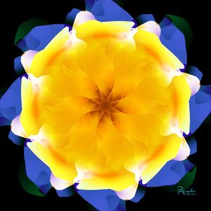 UNKNOWN FLOWER 28