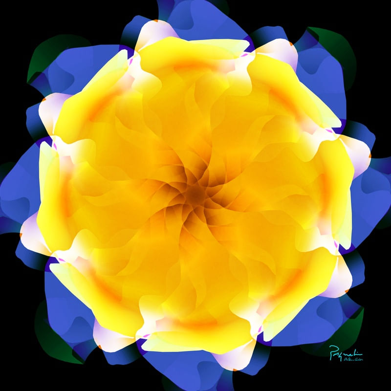 UNKNOWN FLOWER 28