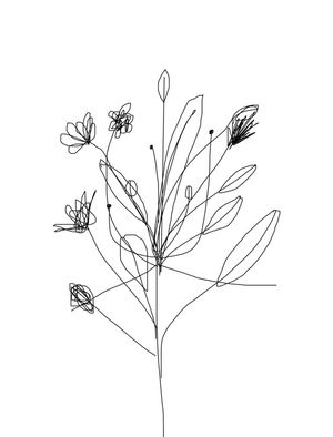 LINHASFLOR