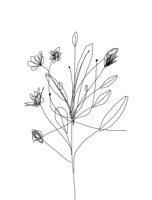 LINHASFLOR