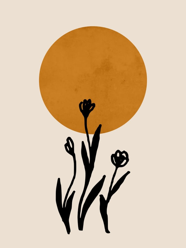 SOLAR MINIMALISTA