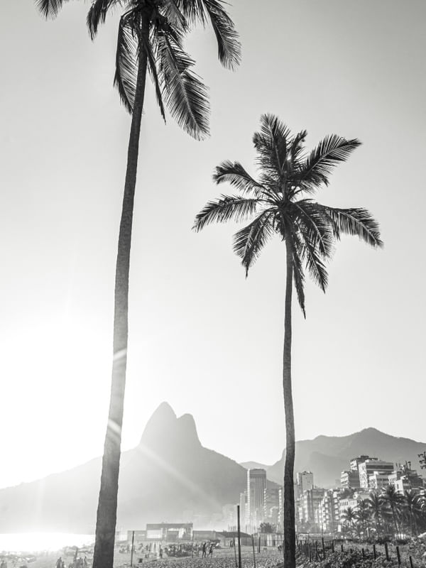IPANEMA TROPICAL - COQUEIROS PB