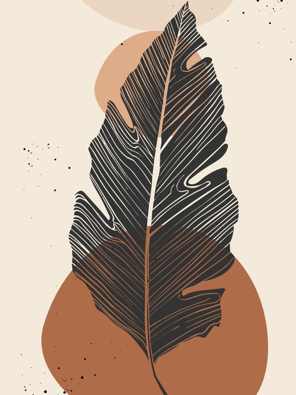 FORMAS ORGANICAS E FOLHA 1