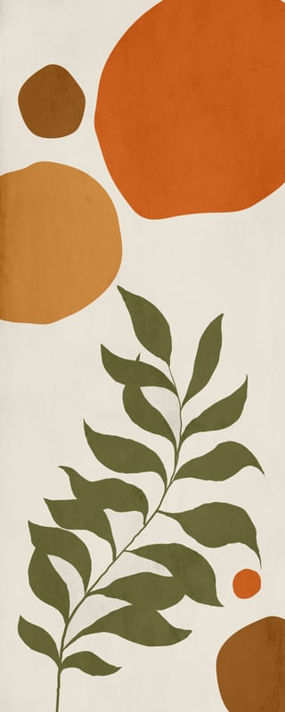 FOLHA E FORMAS ORGANICAS 1