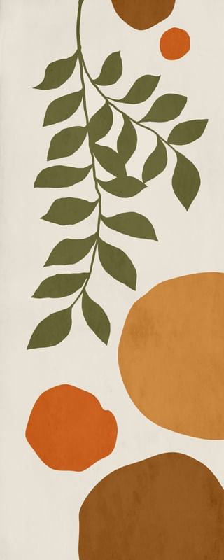FOLHA E FORMAS ORGANICAS 2
