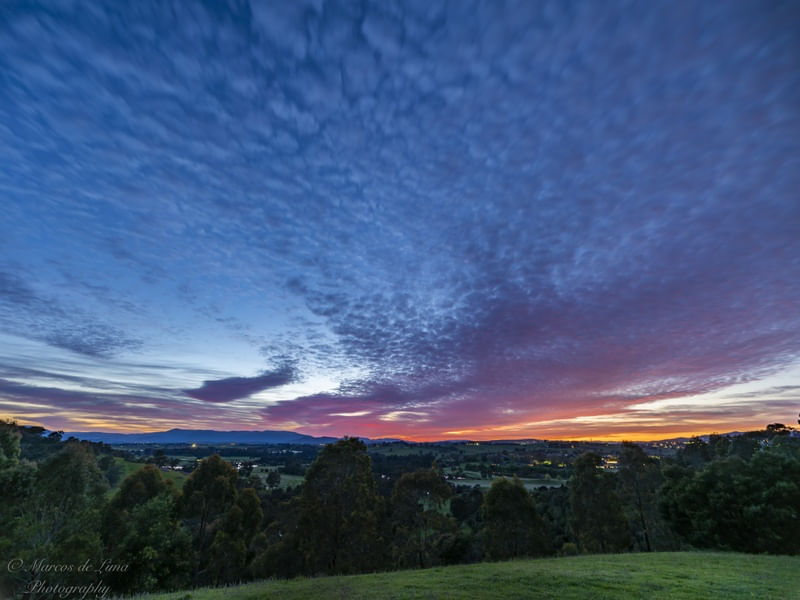 SUNRISE IN YARRA VALLEY