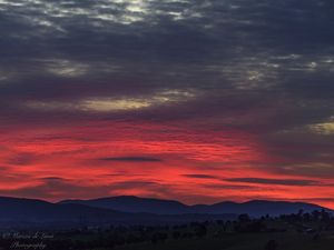 SUNRISE AT YARRA VALLEY