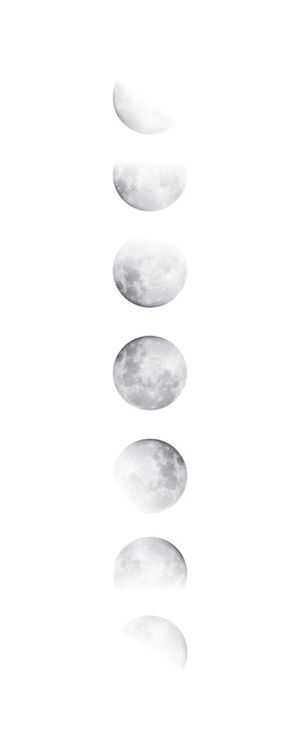 MOON PHASES VERTICAL