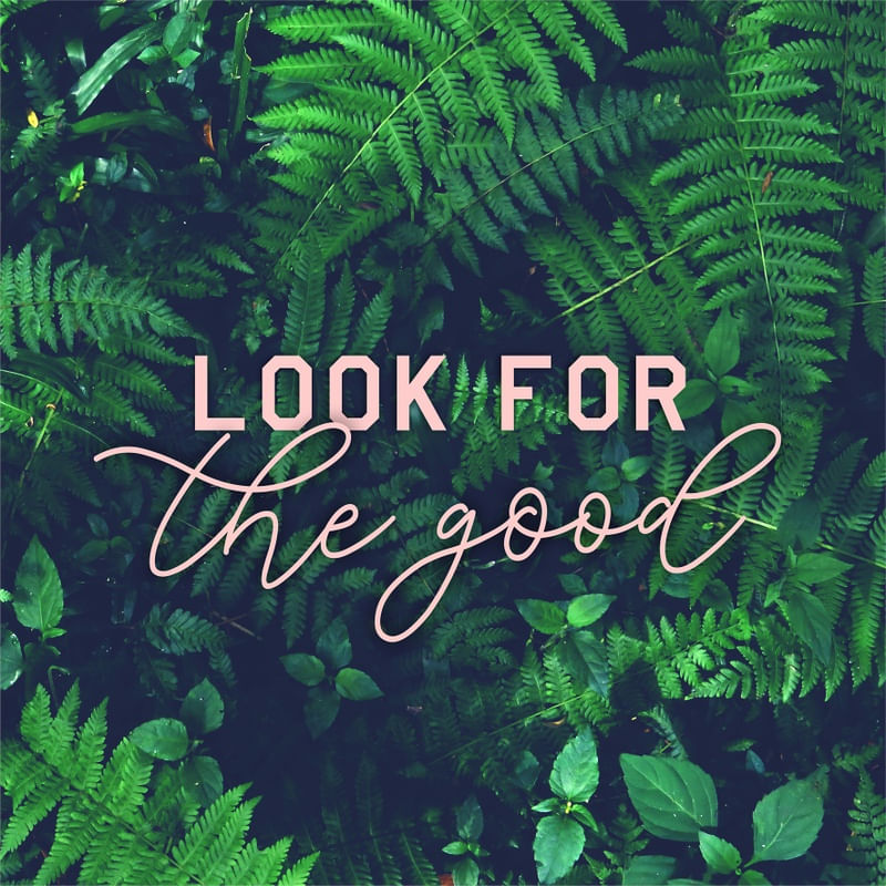 TROPICAL LOOK GOOD