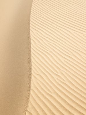 MARCAS DE VENTO NAS DUNAS 05