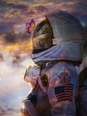 GATO ESPACIAL