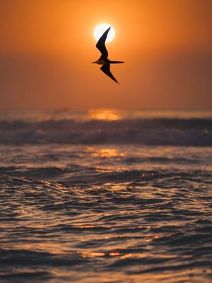 SUN MIRAGE