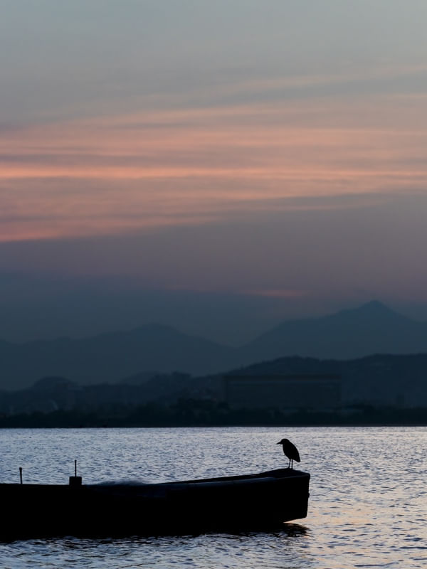 SILHOUETTE OF SOLITUDE
