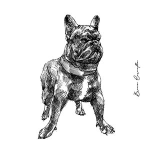BULLDOG PB