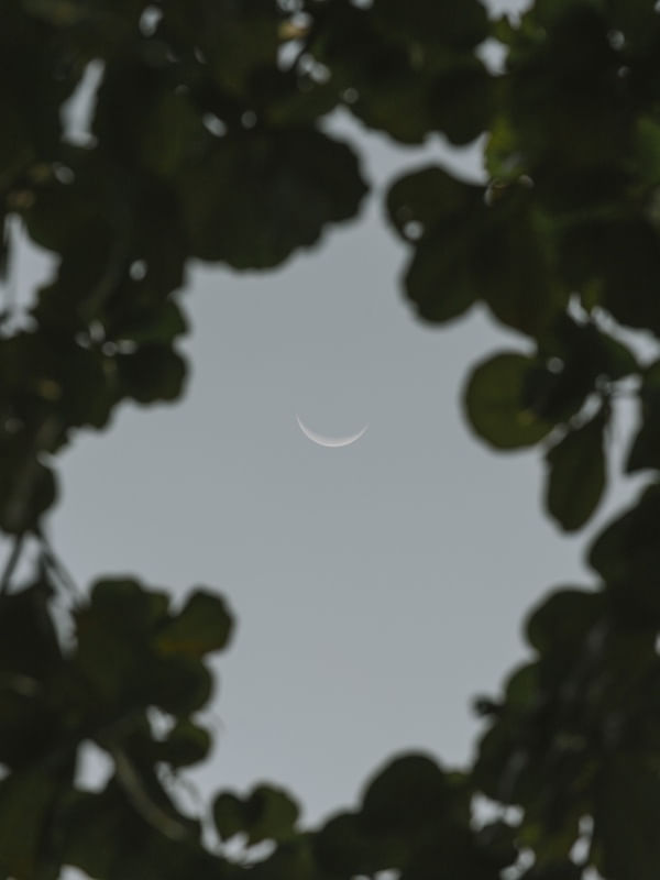 UMA MOLDURA PARA A LUA