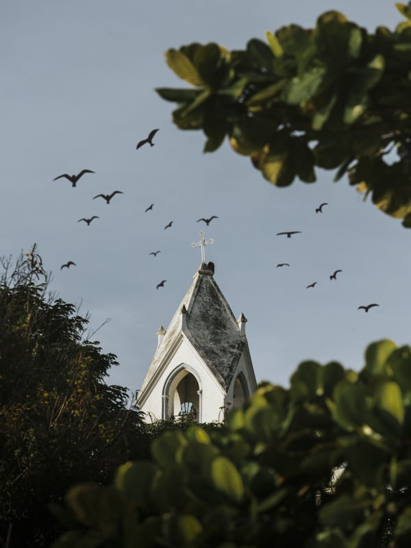 NÃO JOGUE PEDRAS NA CRUZ