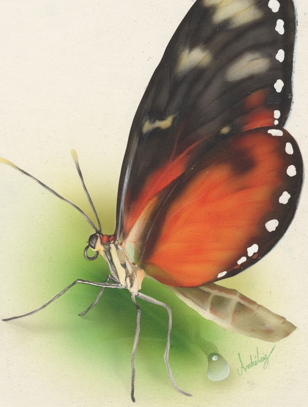 BUTTERFLY AIRBRUSH
