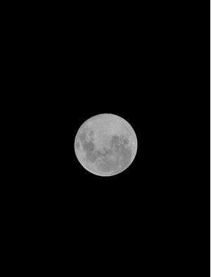 ALONE WITH THE MOON