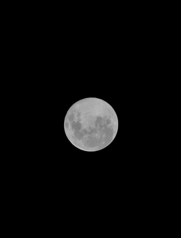 ALONE WITH THE MOON