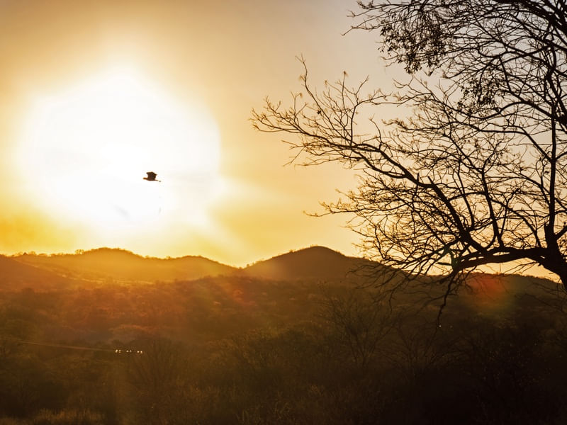 POR DO SOL NO SERTÃO NORDESTINO