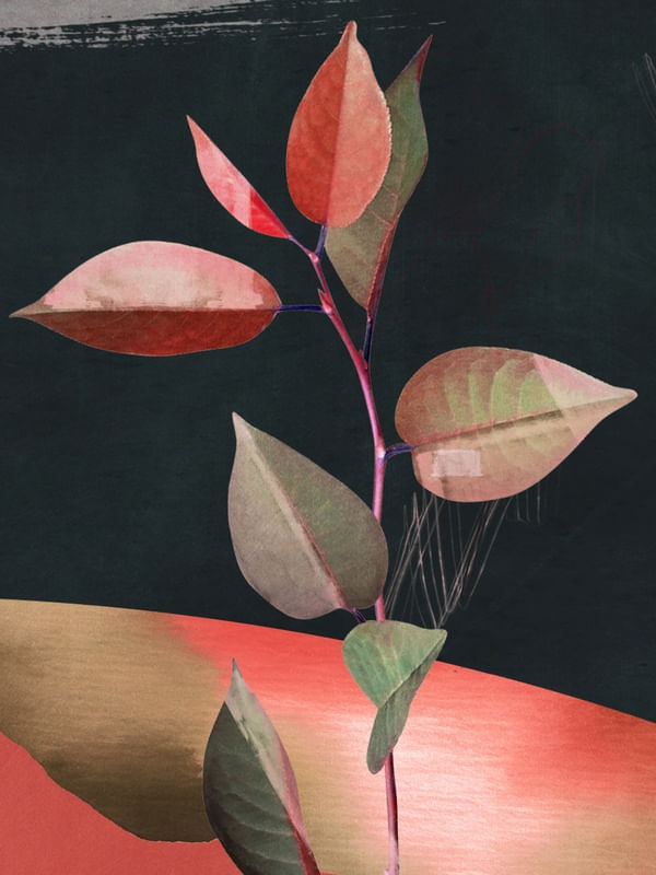 ABSTRACT ART /MINIMAL PLANT 60