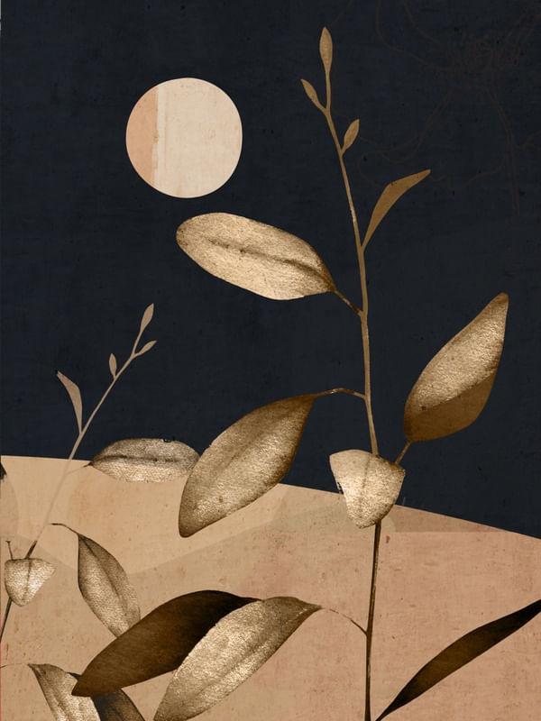 ABSTRACT ART /MINIMAL PLANT 63