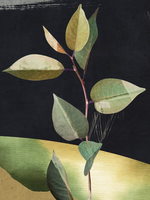 ABSTRACT ART /MINIMAL PLANT 64