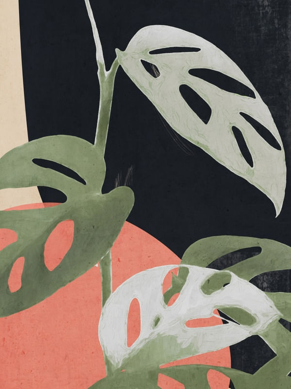 ABSTRACT ART /MINIMAL PLANT 65