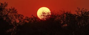 SUNSET IN PANTANAL