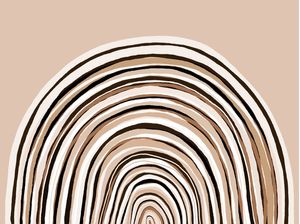 RAINBOW ARCH 10, NEUTRO ARCO IRIS MODERNO MINIMALISTA ILUSTRAÇÃO
